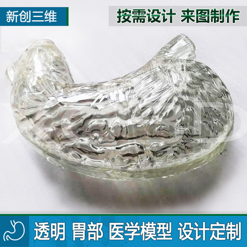3D打印透明胃心模型胃镜训练定制