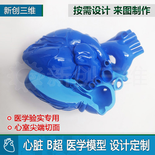 3D打印B超心脏切面模型定制