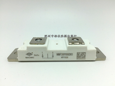 MMF300Y060DK1 MMF300Y060DK1B MMF200Y040DK1