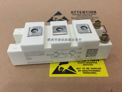 原装SKM100GB123D SKM100GB124D SKM100GB128D