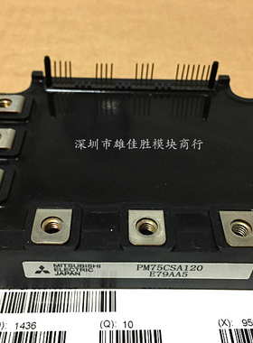 PM75CSA120 PM75RSA060 PM100RLA060 PM75RLA120 PM75RL1A120