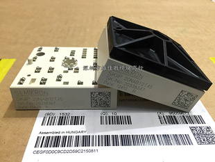 原装SKIIP22NAB12T18 SKIIP20NAB12T45 SKIIP20NAB12T17
