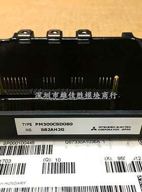 PM300RSA060 PM300CSE060 PM300RSE060 PM300CSD060 原装