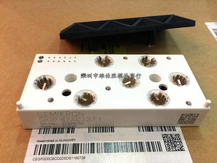 现货SKIIP82AC12IT1 SKIIP83AC121T1 SKIIP82AC128IT1 81 128IST1
