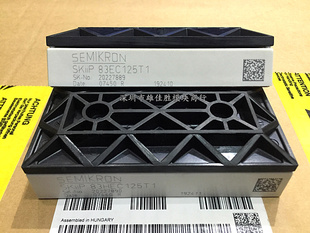 SKIIP83HEC125T1 SKIIP83EC125T1 SKIIP82AC12IT1 SKIIP83AC12IT1