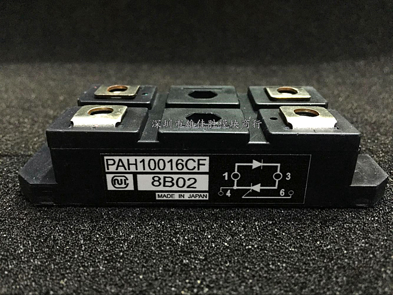 PAH1008 PAH1008CF PAH1528CF PAH2518CF PAH10016CM PAH10016CF