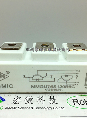 MMG100S120B6TN MMG100S120B MMG100S120B6C MMGU75S120B6C