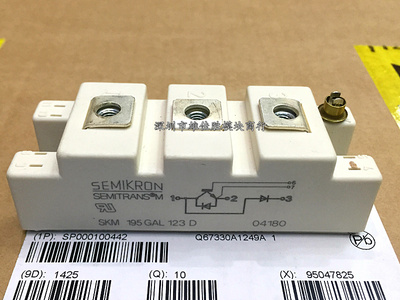 模块SKM195GAL128D 126D SKM150GAL12T4 SKM100GAL123D 145 124D