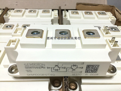 SKM150GB12T4 SKM200GB12T4 SKM300GB12T4/123D SKM100GB12T4G