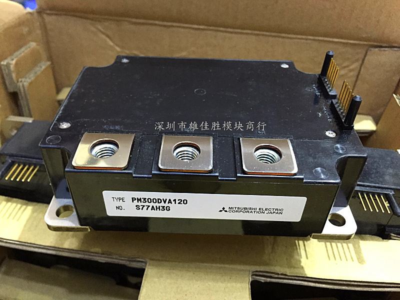 PM200DVA120 PM300DVA120 PM300DSA120 PM200DVA120-2 现货