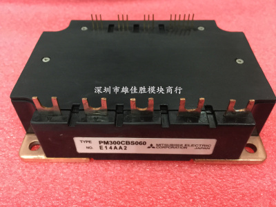 PM150CBS060 PM200CBS060 PM300CBS060 PM200RSE060 PM300CS1H060
