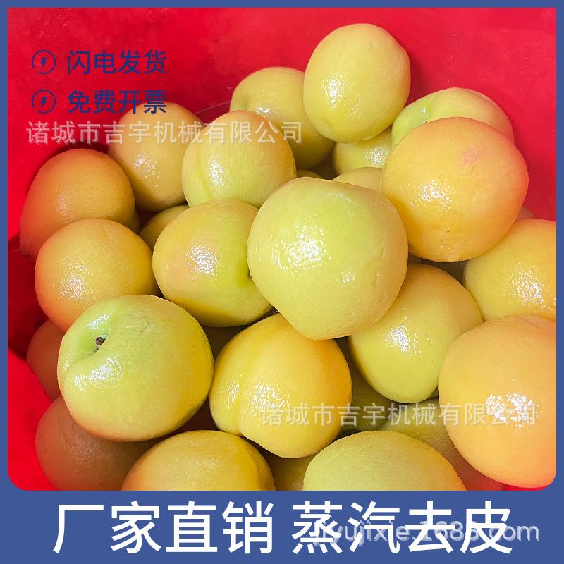 黄桃蒸汽去皮机水果物理去皮设备水蜜桃蒸汽去皮机械