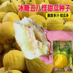 丑八怪种子薄皮甜脆香瓜种籽八方瓜春夏秋季种籽南方好吃水果种子