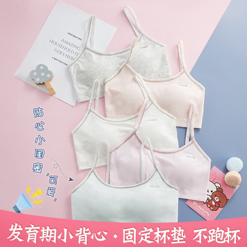 莫代尔固定垫小学初中生少女内衣