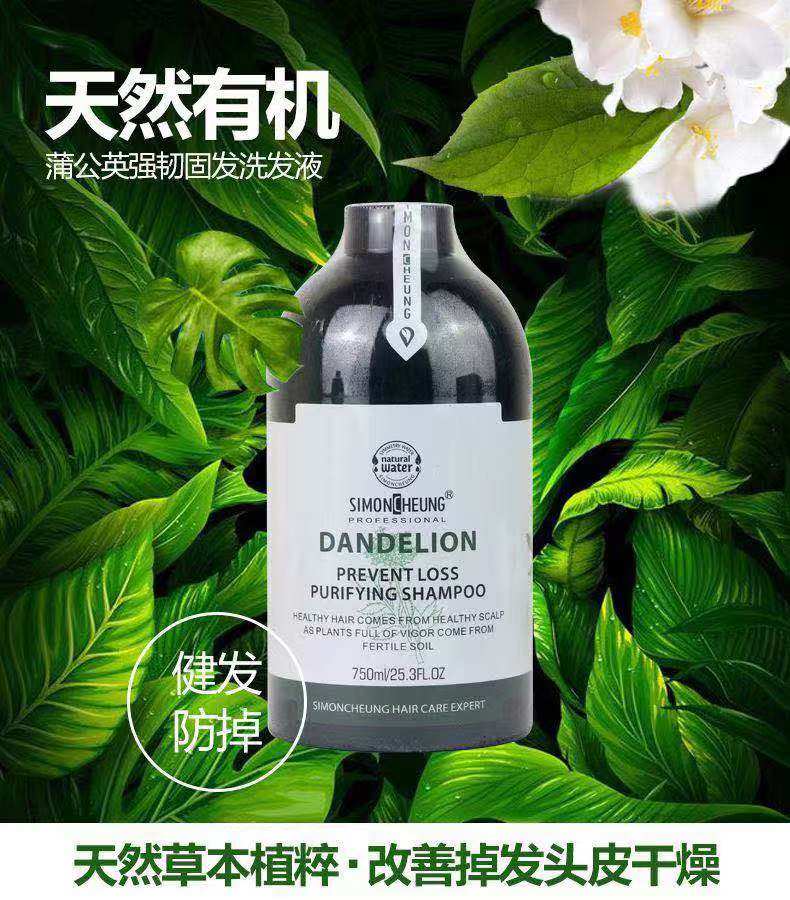 施清侧柏叶祛屑止痒洗发液无硅油洗发水去屑止痒控油清洁柔顺光泽