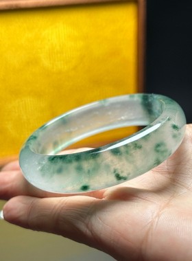 高冰冰透独龙玉飘花手镯高品质翡翠色女款玉石手镯子冰种玉镯女款