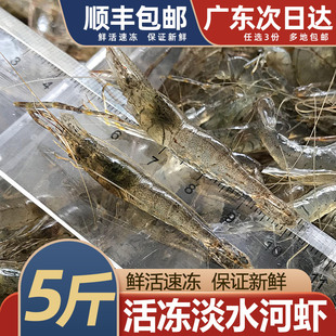 河虾鲜活新鲜冷冻海鲜水产潮汕大狗仔虾仁白青虾小土虾淡水小河虾