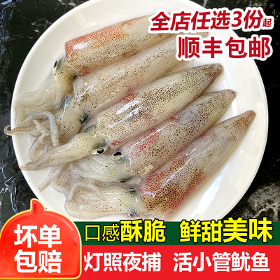 小管鱿鱼灯照小鱿鱼400g鲜活冷冻