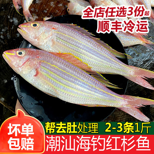 红杉鱼2-3条新鲜海鱼金线鱼海鲜