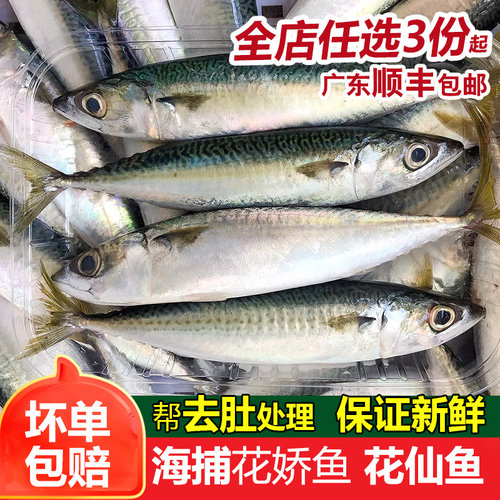 花仙鱼一斤3-5条潮汕海鱼
