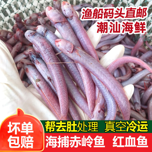 红血鱼整条帮去肚处理前500g