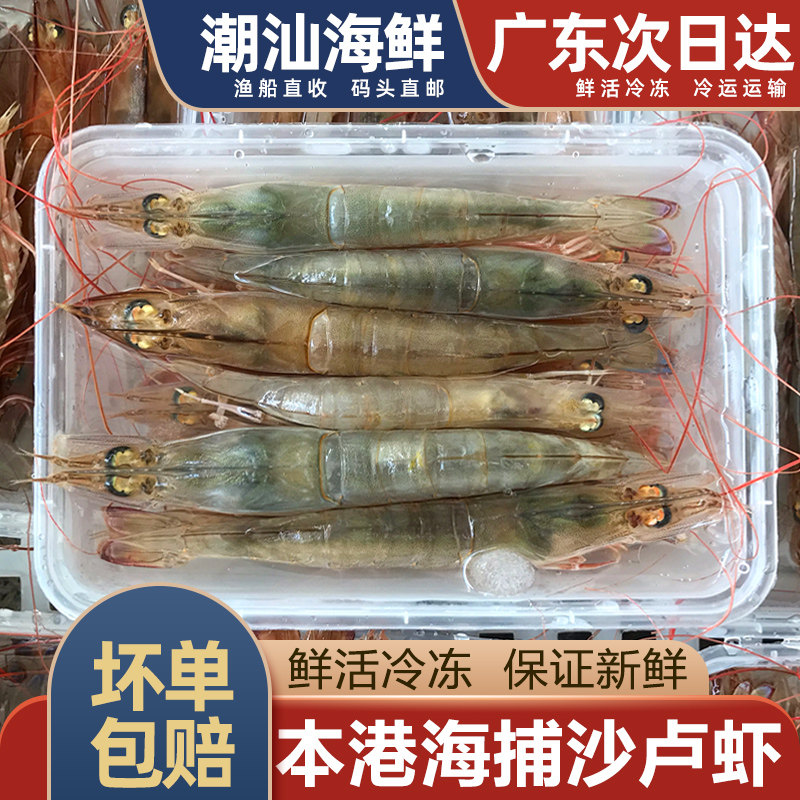 沙卢虾鲜活速冻一斤2盒装