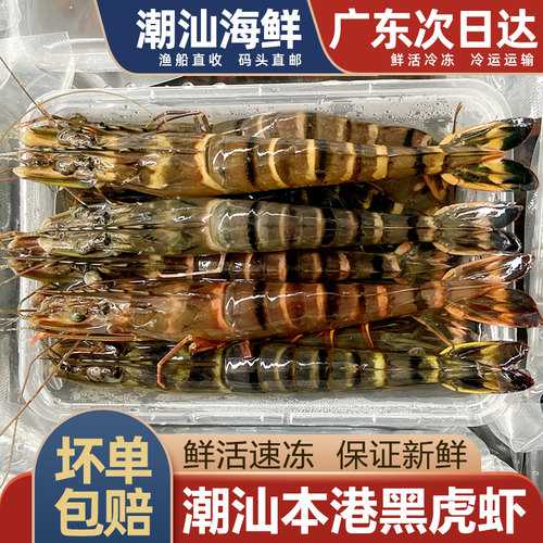 黑虎虾鲜活冷冻一斤2盒装