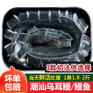 黑鳗鱼海鳗鱼鲜活冷冻海鲜水产海鱼大条河鳗鱼白鳝新鲜潮汕乌耳鳗