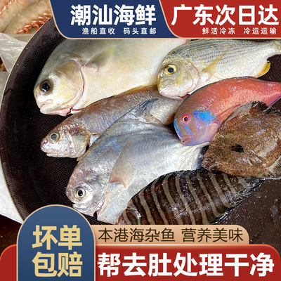 海杂鱼新鲜冷冻多款海鱼组合500g