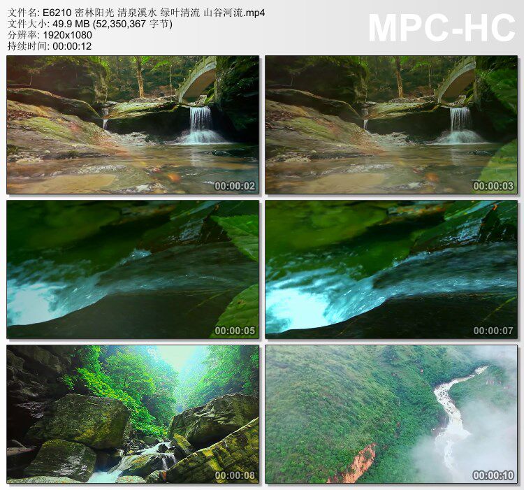 密林阳光清泉溪水 绿叶清流 山谷河流 实拍视频素材