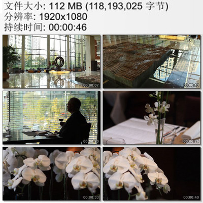 星级酒店富丽堂皇的大堂老外悠闲地品红酒高贵典雅视频素材