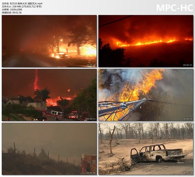 森林火灾消防车灭火大火蔓延火警火情紧急出动废墟灰烬短视频素材