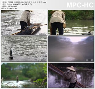 鱼鹰捕鱼渔老鸹与渔夫鸬鹚水老鸦 高清实拍短视频素材