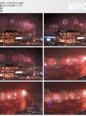 2010年上海世博会 实拍动态视频素材