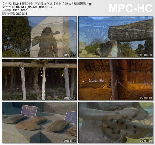 浙江宁波河姆渡文化遗址博物馆视频 原始古壁画图腾 实拍视频素材