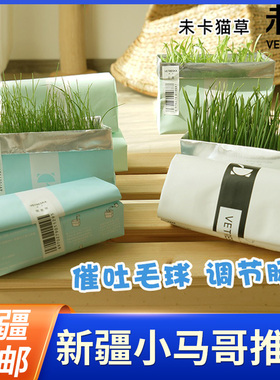 新疆包邮未卡Vetreska 优选猫草种子无土栽培纸袋猫草猫薄荷