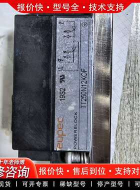 可维修EUPEC可控硅模块，型号TT250N12KOF，议价