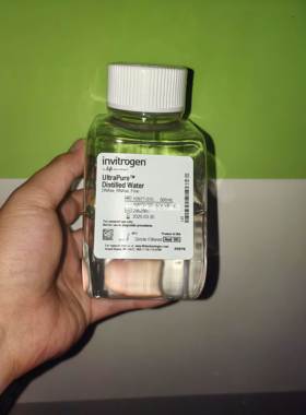 赛默飞无核酸酶水invitRogen distilled water 10977015原装