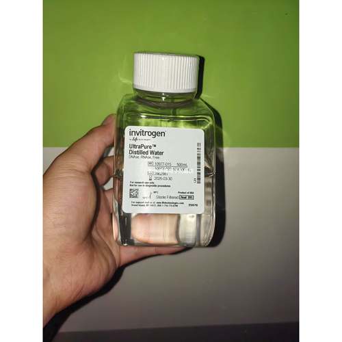 赛默飞无核酸酶水invitRogen distilled water 10977015原装