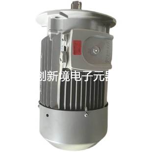 15KW 3AA4 380V 德国进口西门子电机1LE1003 IE3 1DB43