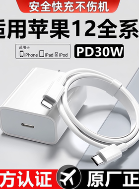 适用苹果12充电器线快充头苹果12Pro/Max数据线30W原线装mini充电头