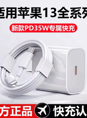 适用苹果13充电器线13ProMax充电头35W快充苹果13mini数据原线装正品