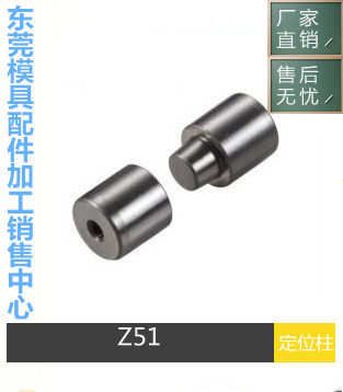 HASCO圆形定位柱对锁精定位Z051/16 Z051/20 Z051/25