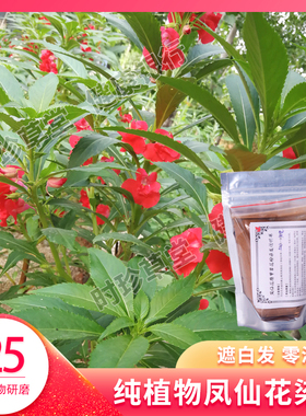 新鲜现摘灰指甲草染白头发海娜粉凤仙花瓣纯植物天然正品护发养发