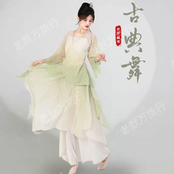 套装练功衣仙气身韵古风新款纱舞蹈演表服装飘逸艺考中国古典舞