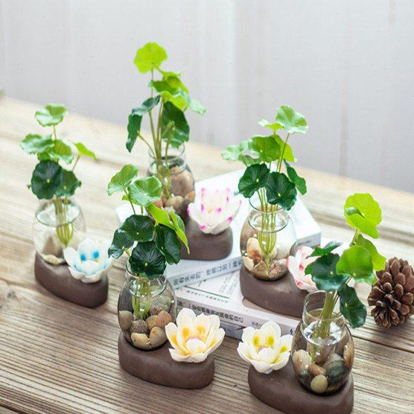 创意玻璃迷你水养绿萝办公玄关装饰桌面摆件客厅茶几陶瓷栽盆送礼,家居饰品,花瓶,淘宝优惠券,粉丝福利购,淘宝优惠卷