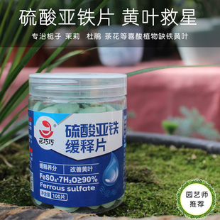 硫酸亚铁缓释片植物缺铁黄叶专用改善土壤花卉肥料100片花巧巧