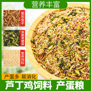 芦丁鸡饲料粮食卢丁鸡饲料粮食产蛋饲料面包虫育雏饲料鹌鹑饲料