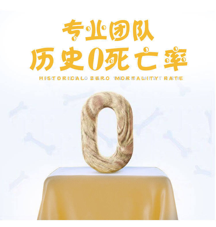 宠物托运服务全国上门接送猫狗兔子等铁路汽运航空顺风车活体运输