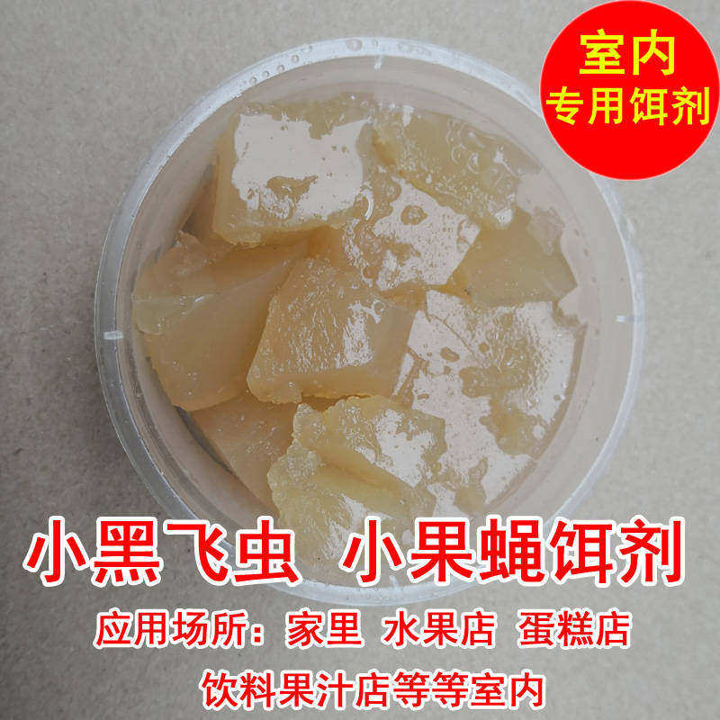 小黑飞虫 小果蝇 饵剂 果蝇诱捕器 室内果蝇诱捕 果蝇引诱 室内